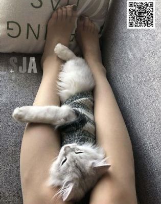 依雯妮妮